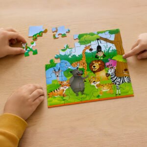 Jigsaw Puzzle